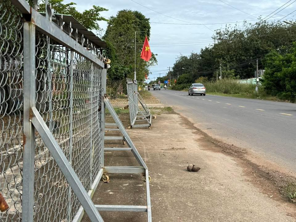 FrontHouse An Linh, Phú Giáo 328m² giá thỏa thuận - Mặt tiền kinh doanh lý tưởng!