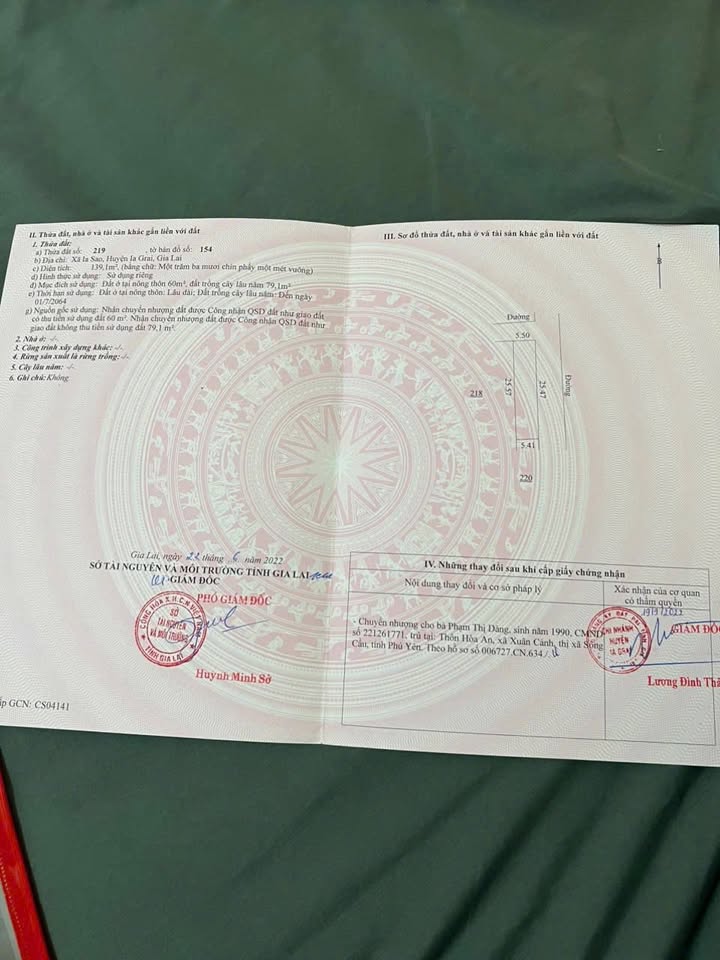 Đất thổ cư Tân An Đăk Pơ 60m² giá 290 triệu - Cơ hội đầu tư hấp dẫn!