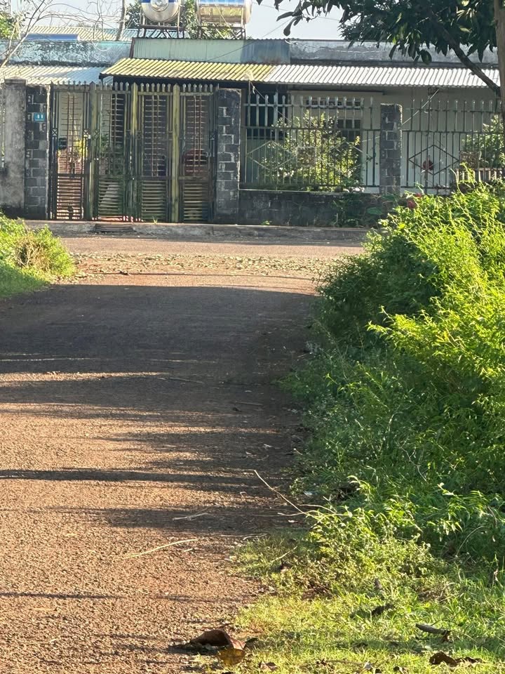 Đất nền Đăk Đoa 215m² giá 1.15 tỷ - Cơ hội đầu tư tuyệt vời!