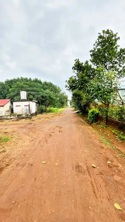 Lô đất Diên Hồng 54m² giá 900 triệu – Cơ hội đầu tư tuyệt vời!