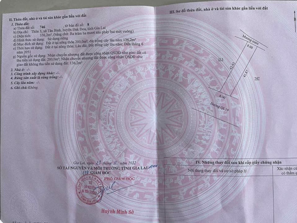 Đất thổ cư Tân Bình Đak Đoa 200m² giá 200 triệu - Đầu tư sinh lời ngay!