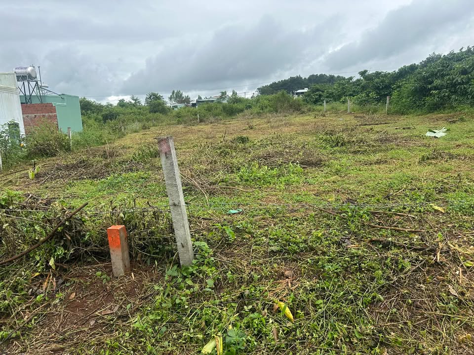 Đất nền 300m² tại đường Bùi Viện, Pleiku giá chỉ 800 triệu - Cơ hội đầu tư tuyệt vời!