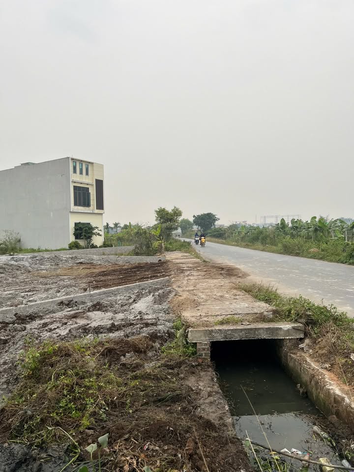 Cho thuê kho bãi tại Tân Tiến, An Dương 288m² - Mặt đường trục nhựa thuận tiện!