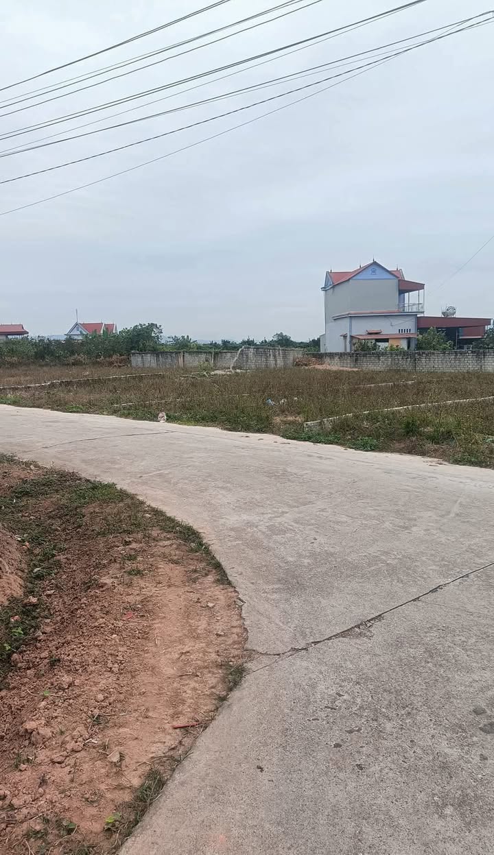 Đất nền TDP Giáp Hạ, phường Thanh Hải, 300m² chỉ 600 triệu - Cơ hội đầu tư tốt!