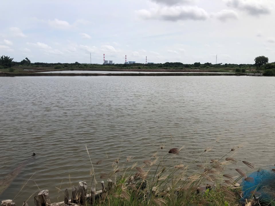 Đất nuôi trồng thủy sản 19 công tại Cồn Ông, Duyên Hải - Giá thỏa thuận hấp dẫn!