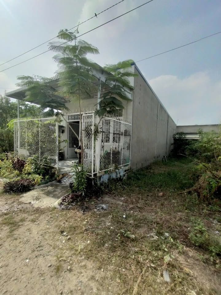 Nhà phố Mỹ Khánh, Long Xuyên 75m² chỉ 900 triệu - Giá tốt không thể bỏ qua!