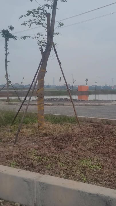 Đất nền Vành Đai Kim Sơn 120m² giá thỏa thuận - Cơ hội đầu tư sinh lời!