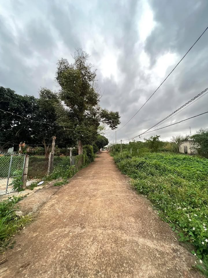 Đất nền Nguyễn Huy Tưởng, Thiện An, Buôn Hồ 190m² giá chỉ 680 triệu - Cơ hội đầu tư tuyệt vời!