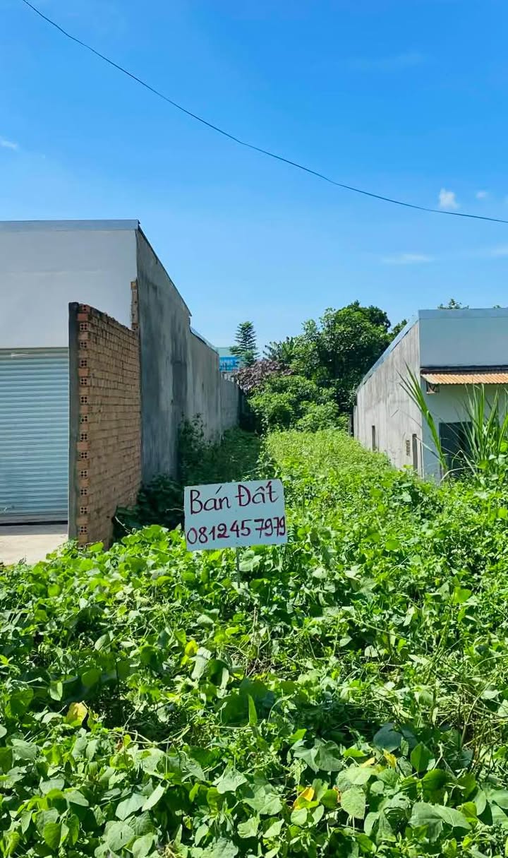 Đất mặt tiền DT724 xã Tân Hội 360m² giá 3.5 tỷ - Đầu tư sinh lời ngay!