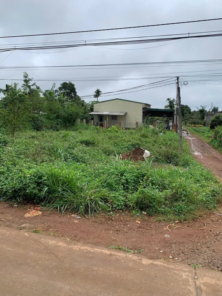 Đất Phú Xuân Krông Năng 195m² giá 220 triệu - Nở hậu, hai mặt đường!