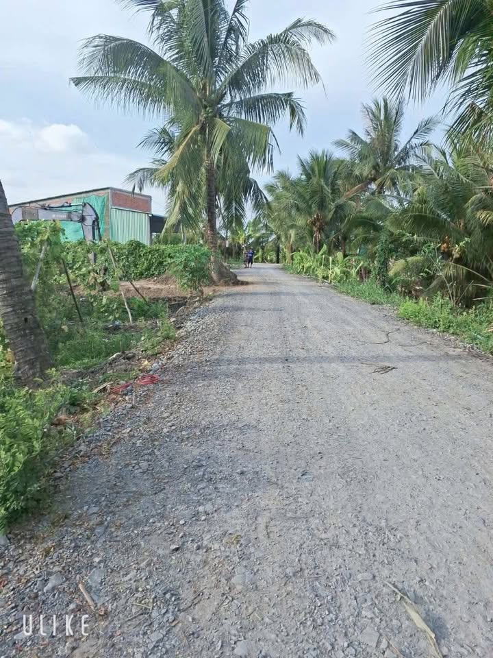 Đất thổ cư Vĩnh Công, Châu Thành 125m² giá chỉ 550 triệu - Đầu tư sinh lời ngay!