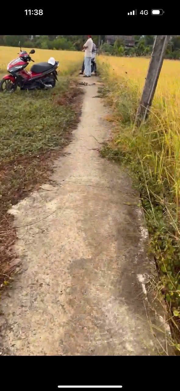 Đất nền chính chủ cần bán tại Bình Xuân, Gò Công 179,9m² giá chỉ 240 triệu - Thương lượng tốt!