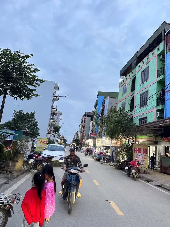 Đất nền dự án Đại Vi Tiên Du 100m² giá 5 tỷ - Kinh doanh sầm uất!