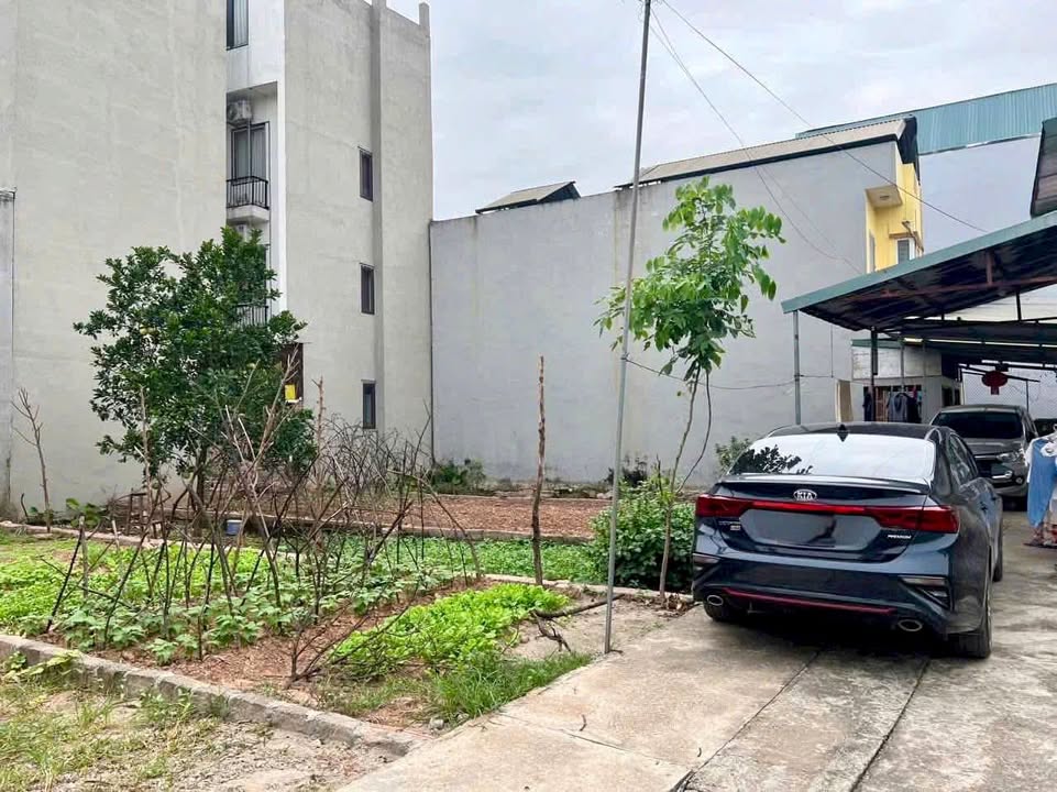 Đất Thư Phú, Thường Tín 46.8m² giá 2.49 tỷ - Ô tô đỗ cửa, phong thủy đẹp!