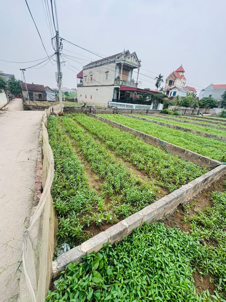 Đất nền Thư Phú, Thường Tín 44.6m² giá 2.63 tỷ - Lô góc 2 mặt tiền, đầu tư sinh lời!