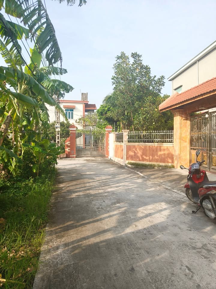 Đất nền Quỳnh Hội - Quỳnh Phụ 250m² giá 14 tỷ - Cơ hội đầu tư hấp dẫn!