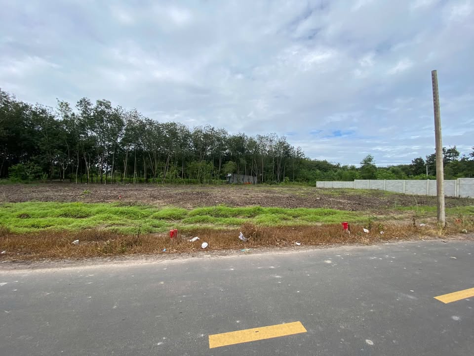 Đất nền Tân Phú, Phú Giáo 230m² giá 650 triệu - Sổ đỏ chính chủ!