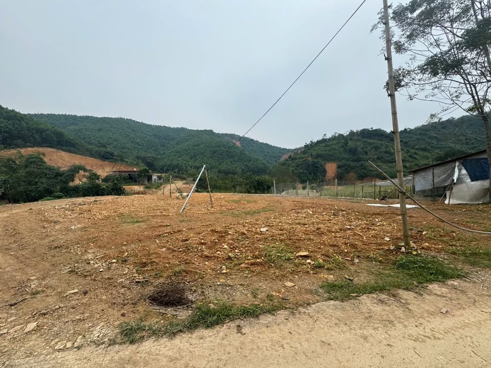 Đất nền Farm tại Lạc Lương, Phú Thọ 8.000m² giá 4 tỷ - Lợi thế đầu tư vàng!