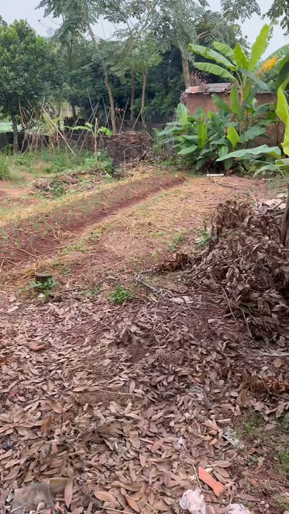 Đất nền 480m² Tiên Lục, Lạng Giang chỉ 1.3 tỷ - Cơ hội đầu tư lý tưởng!