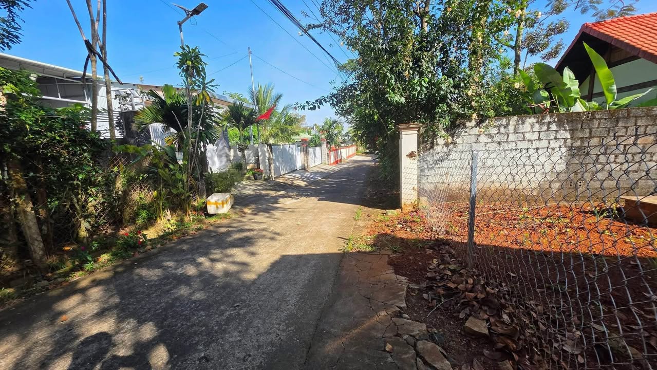 Đất nền Hẻm 133 Đường 1/5, B'Lao 210m² giá 1.9 tỷ - Cơ hội đầu tư tuyệt vời!