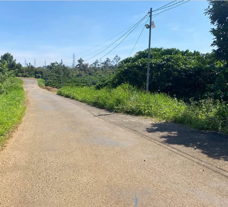 Đất nền Bảo Lộc 600m² - Thích hợp nghỉ dưỡng, đầu tư