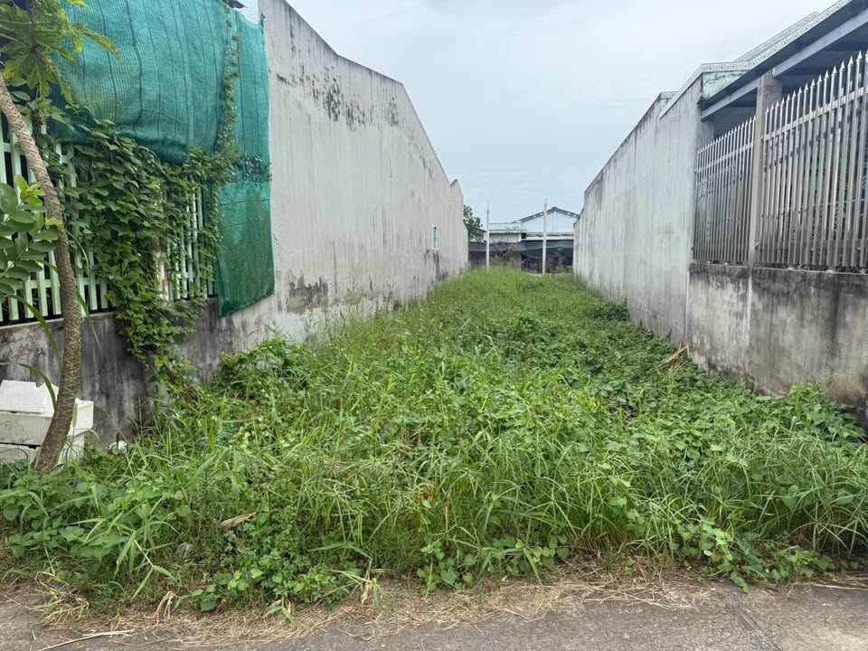 Đất nền Vĩnh Công, Cần Giuộc 198m² chỉ 890 triệu - Đầu tư sinh lời ngay!