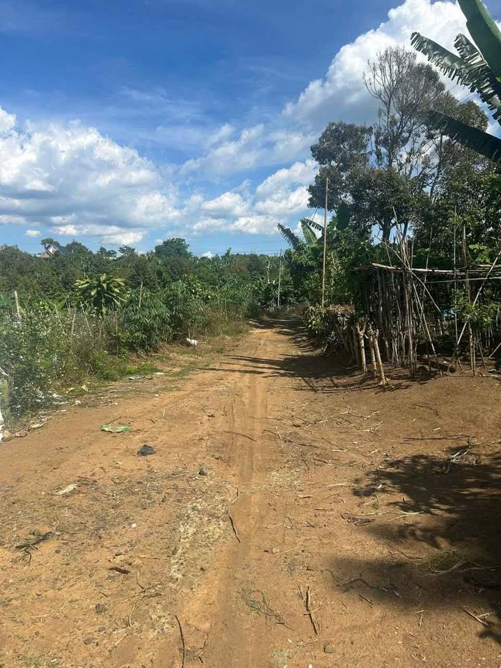 Đất nền Bảo Lâm 2 (Lộc An) 1,1 sào giá chỉ 1 tỷ - Cơ hội đầu tư tuyệt vời!