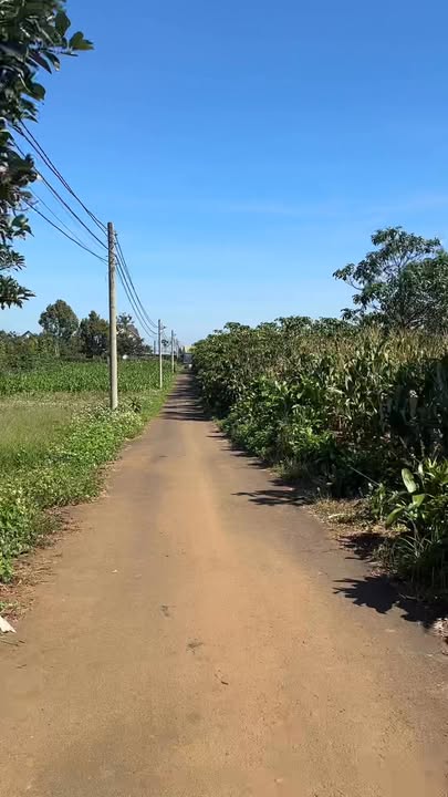 Đất nền Lộc Ngãi 1000m² giá 1.15 tỷ - View đẹp thoáng, thích hợp làm Homestay!