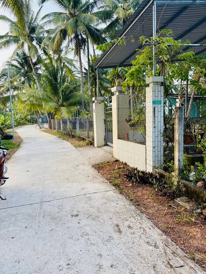 Đất nền Tam Quan Nam 125m² giá thỏa thuận - Tiềm năng đầu tư sinh lời!