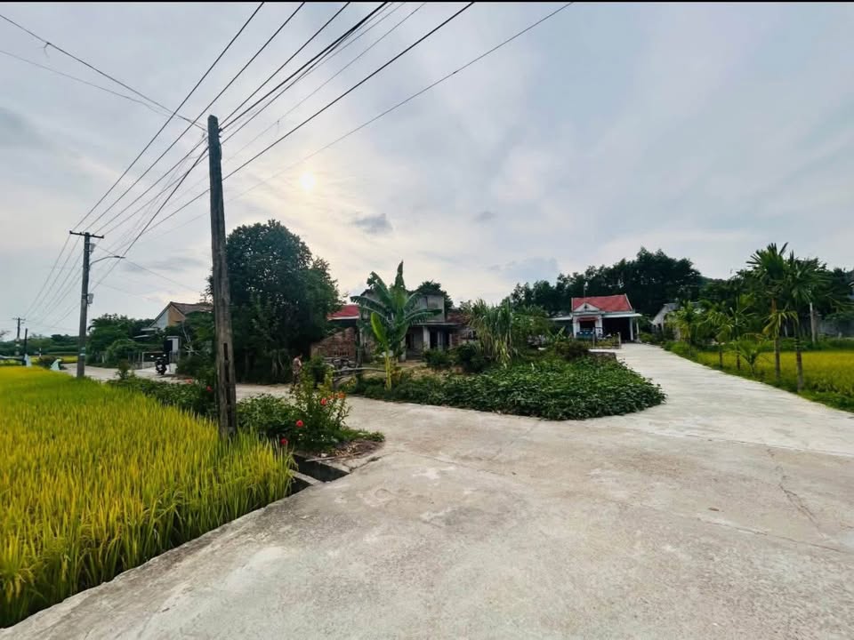 Đất nền Hòa Nhơn Đà Nẵng 120m² giá chỉ 9xx triệu - Cơ hội đầu tư tuyệt vời!