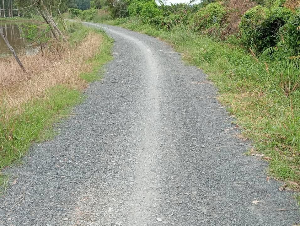 Đất mặt tiền Xuân Thới Sơn 750m² giá 1 tỷ - Đầu tư sinh lời ngay!