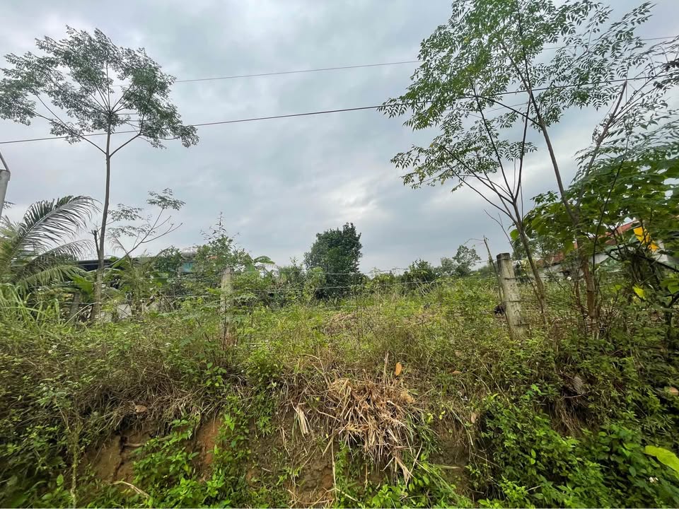 Đất nền xã Lê Hóa, huyện Tuyên Hóa, 700m² giá 1 tỷ - Cơ hội đầu tư hấp dẫn!