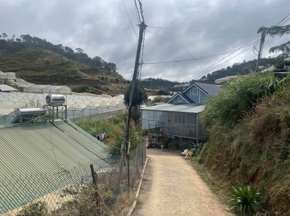 Villa sân vườn 647m² tại Phước Thành - Đà Lạt chỉ 6.5 tỷ - Đầu tư sinh lời!