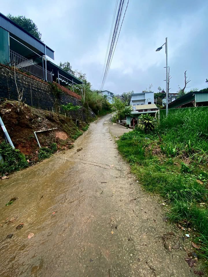 Đất nền Đà Lạt 332,9m² giá 1,8 tỷ - View rừng thông tuyệt đẹp!