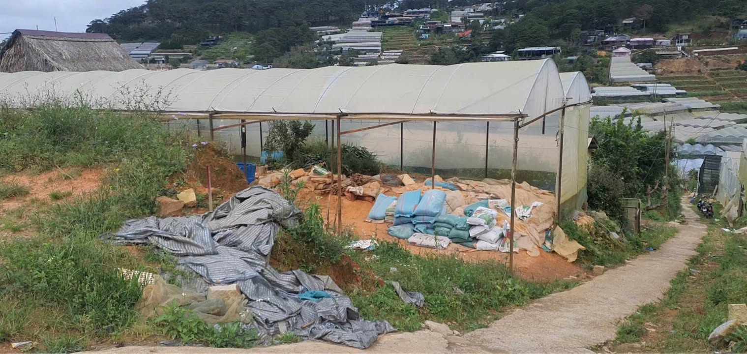 Đất hai mặt tiền Trịnh Hoài Đức, Đà Lạt 226m² giá 7.5 tỷ - Tiềm năng đầu tư lớn!