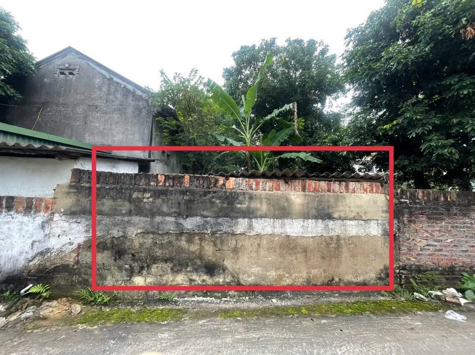 Đất nền Hợp Châu, Tam Đảo 100m² giá 600 triệu - Cơ hội đầu tư vàng!