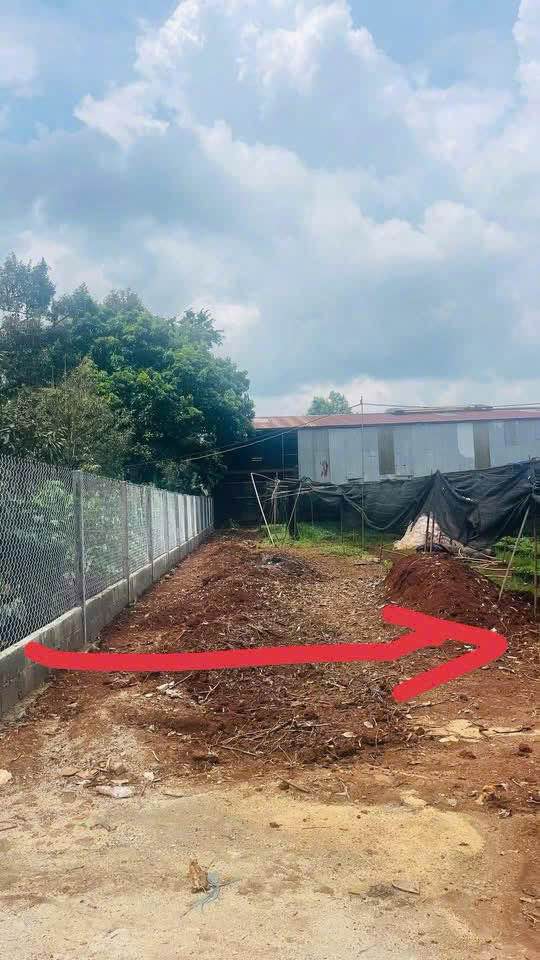 Đất thổ cư Thôn 8, Phường Tân Lập, Buôn Ma Thuột 205m² giá 1.5 tỷ - Cơ hội đầu tư hiếm có!