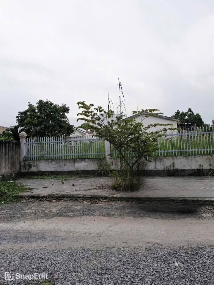 Đất mặt tiền sông Vàm Thuật, Thạnh Xuân, 84m² giá 4.55 tỷ - Cơ hội đầu tư hấp dẫn!