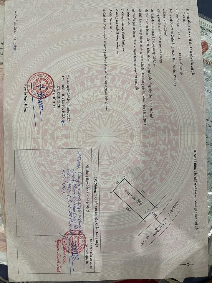 Đất thổ cư tại xã Xuân Áng, Hạ Hòa 250m² - Giá chỉ 1 tỷ, đầu tư sinh lời!