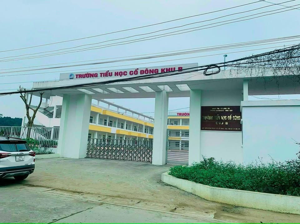 Đất nền Cổ Đông, Sơn Tây 100m² chỉ 2 tỷ - Sổ đỏ chính chủ