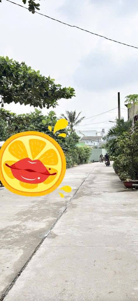 Đất nền Bình Thành 55m² giá 3.75 tỷ - Khu vực sống lý tưởng!