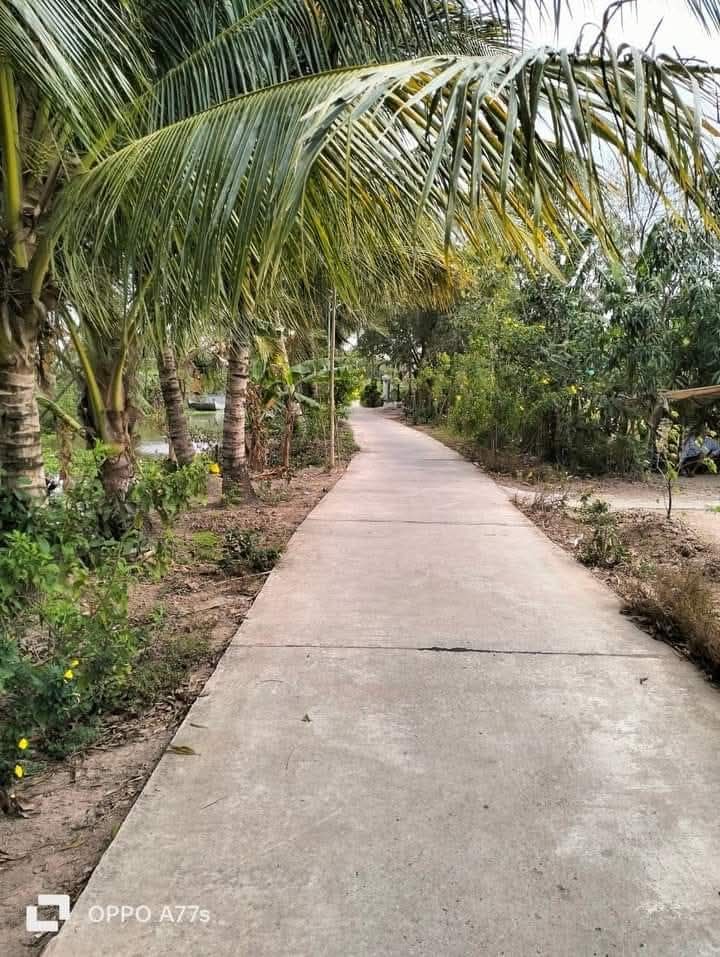 Nhà bán gấp tại Trà Khứa, Long Thạnh, Vĩnh Lợi - Diện tích 372m² chỉ 630 triệu!