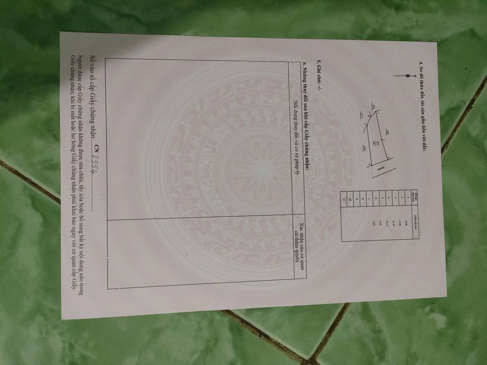 Đất nền Bình Phú, Bình Sơn 2200m² giá 220 triệu - Cô chủ kẹt tiền cần bán gấp!