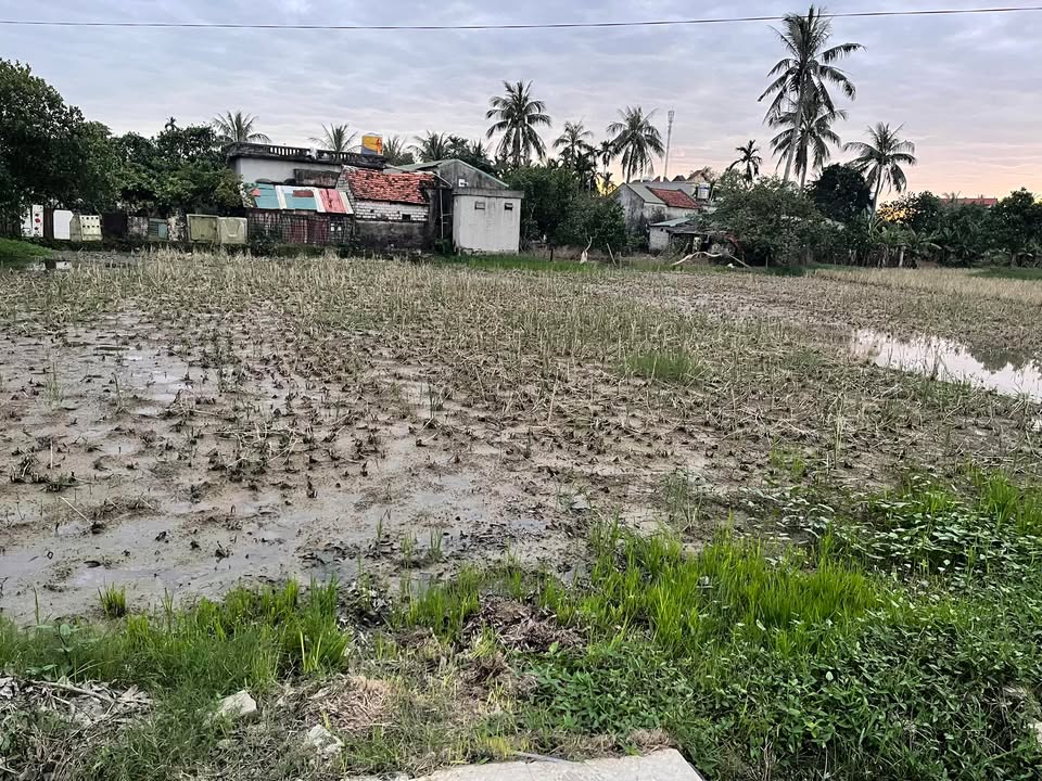 Đất nền 618m² tại biển Quảng Lộc, Thanh Hóa giá 1 tỷ - Đầu tư sinh lời ngay!