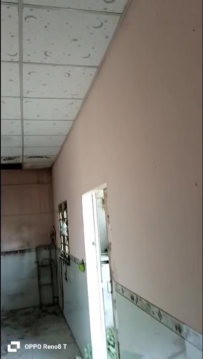 Đất nền Đức Lập Hạ 100m² giá 250 triệu - Cơ hội đầu tư hấp dẫn!