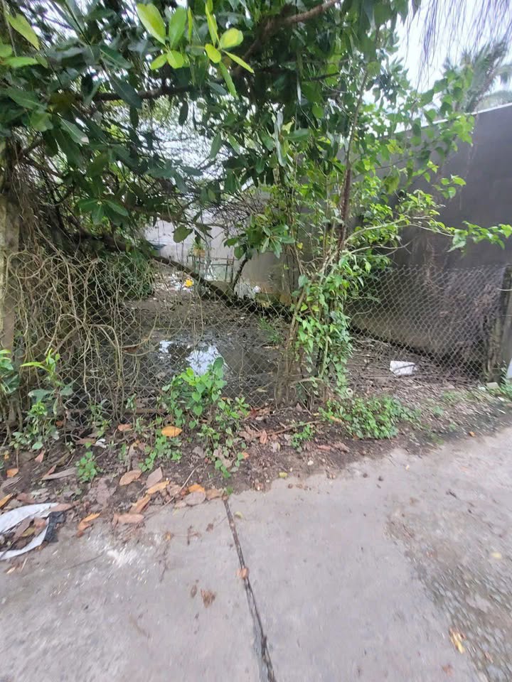 Đất nền Sơn Đông Bến Tre 70m² giá 380 triệu - Sổ hồng chính chủ!