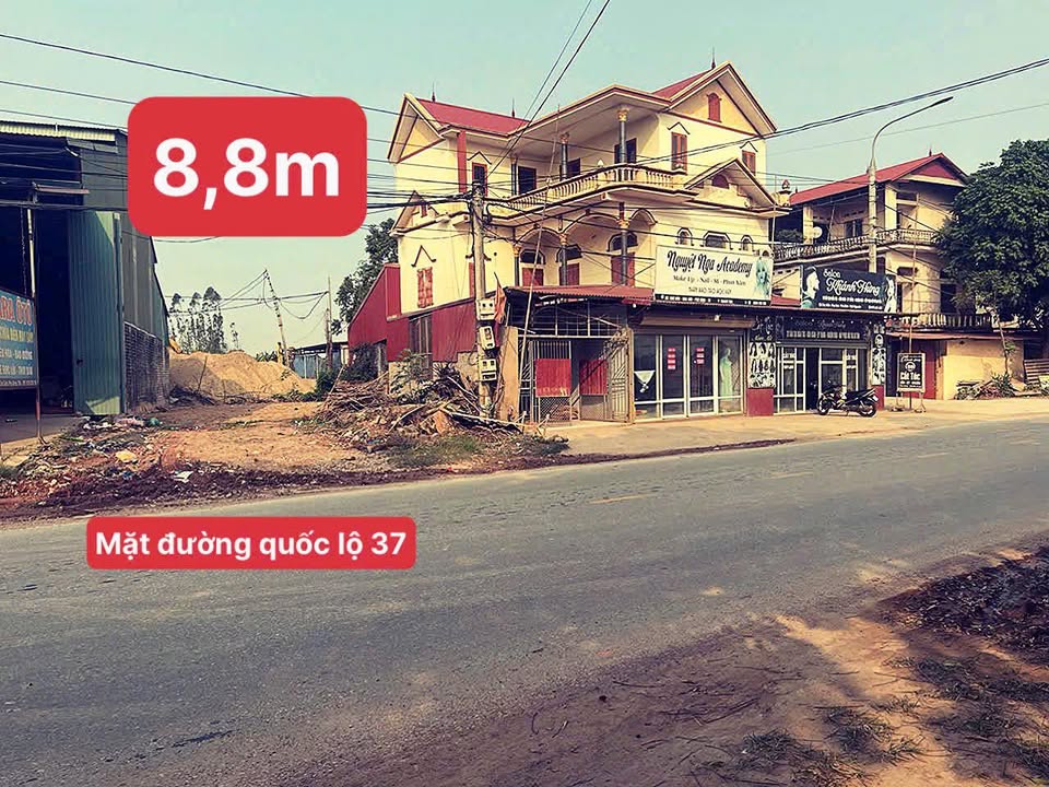 Lô đất mặt đường Quốc lộ 37, Phú Bình, Thái Nguyên 168m² - Kinh doanh sầm uất