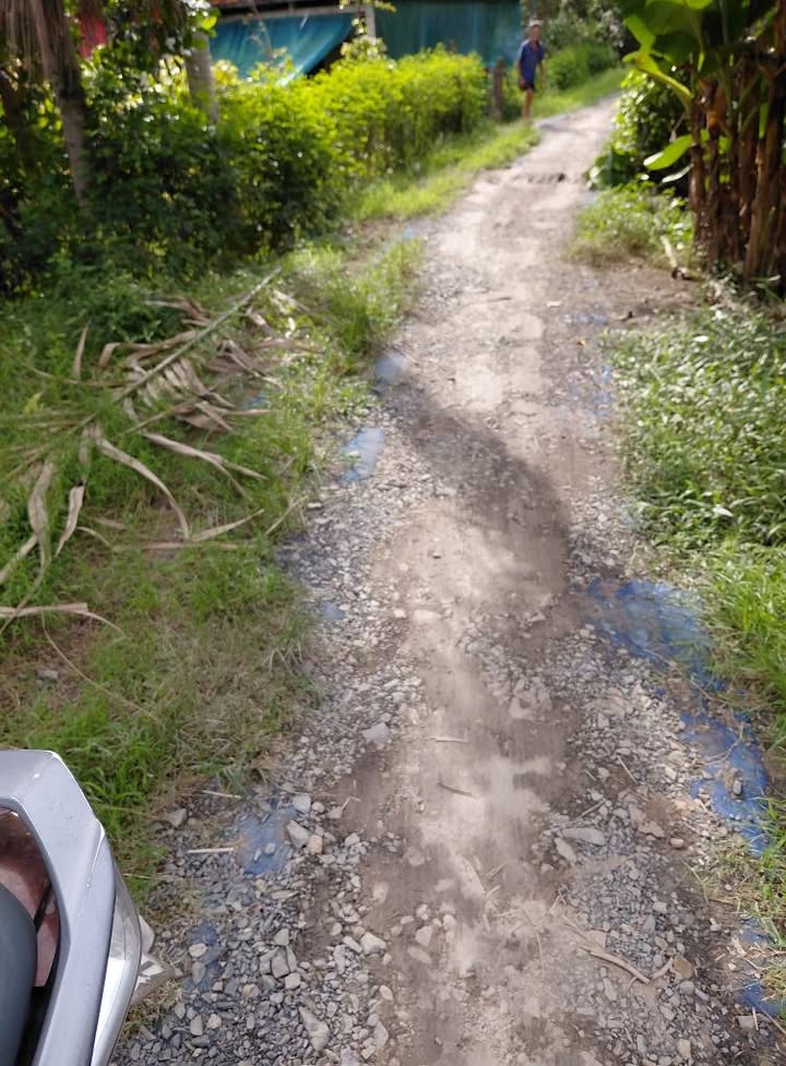 Bán gấp Farm tại Trà Côn, Vĩnh Long diện tích 3614m² - Sẵn sàng vào ở ngay!