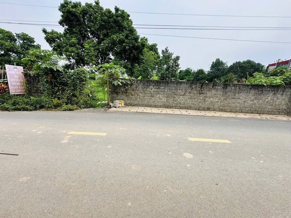 Đất Farm Lương Sơn 1100m² giá thỏa thuận - Mặt tiền đường Võ Nguyên Giáp