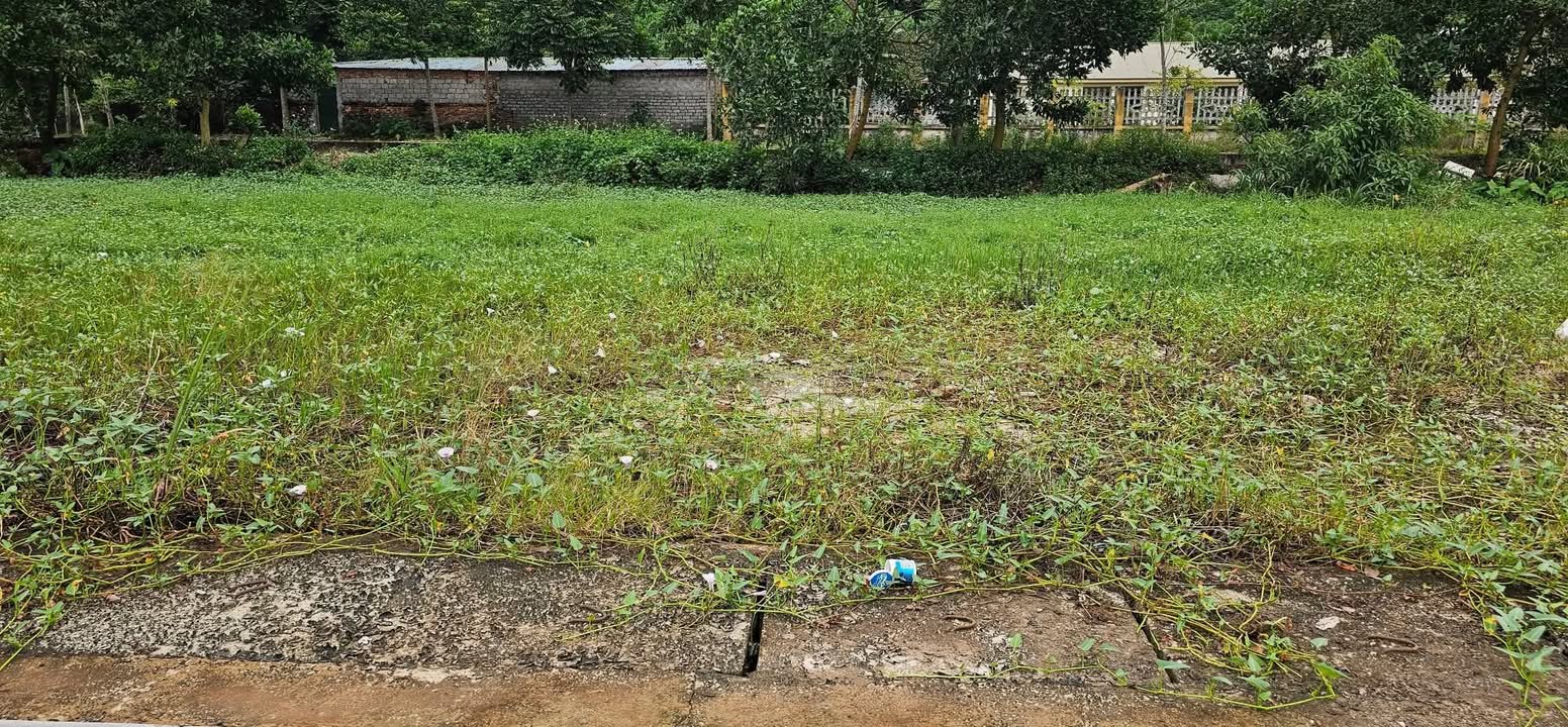 Lô đất thổ cư 572m² tại Phường Đông Sơn, giá chỉ 4.576 tỷ - Cơ hội đầu tư tuyệt vời!